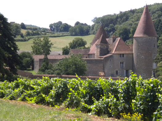 Chateau de Nobles en Bourgogne